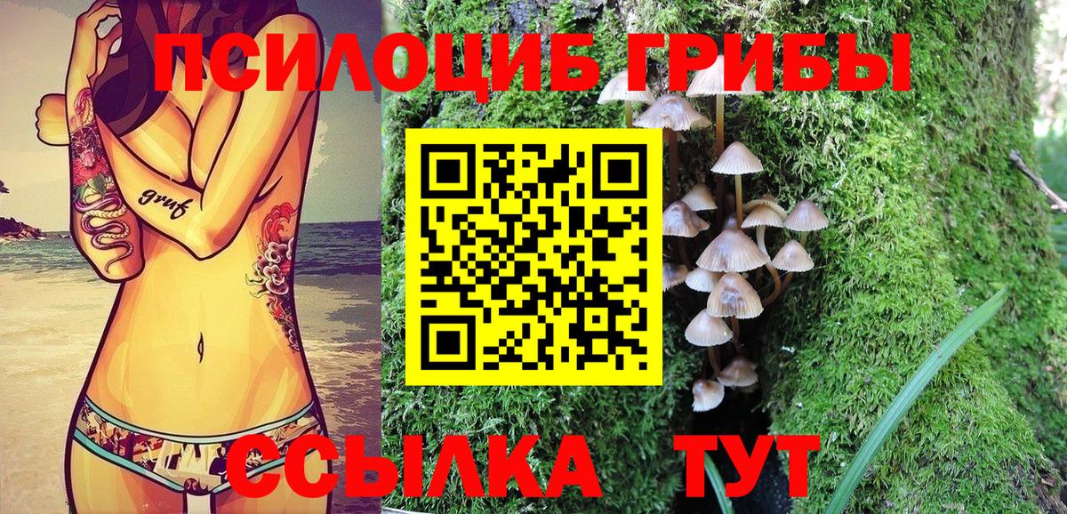 Галлюциногенные грибы MAGIC MUSHROOMS  Вход с VPN  Ачхой-Мартан 